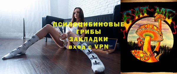 таблы Бородино